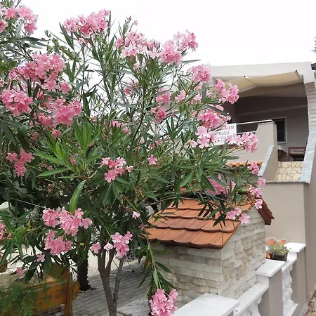 Apartment Ivica Vir