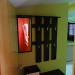 Apartment Ivica Vir
